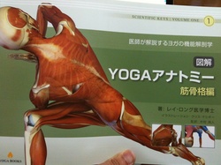 YOGAAig~[Ap[\ig[i[]摜
